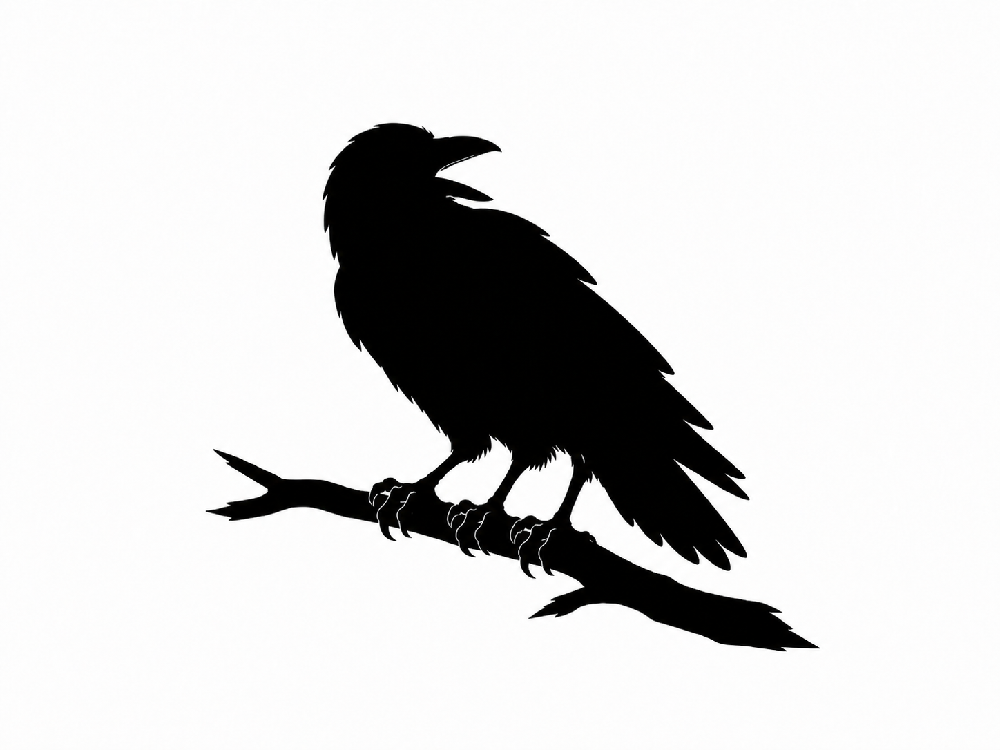 The Shaded bird perched beside an open book